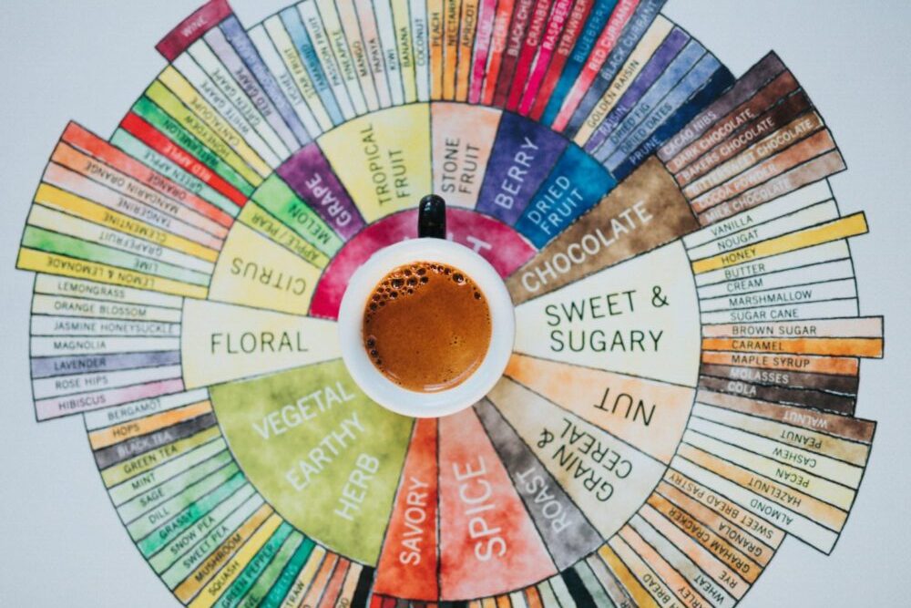 coffee-flavorwheel